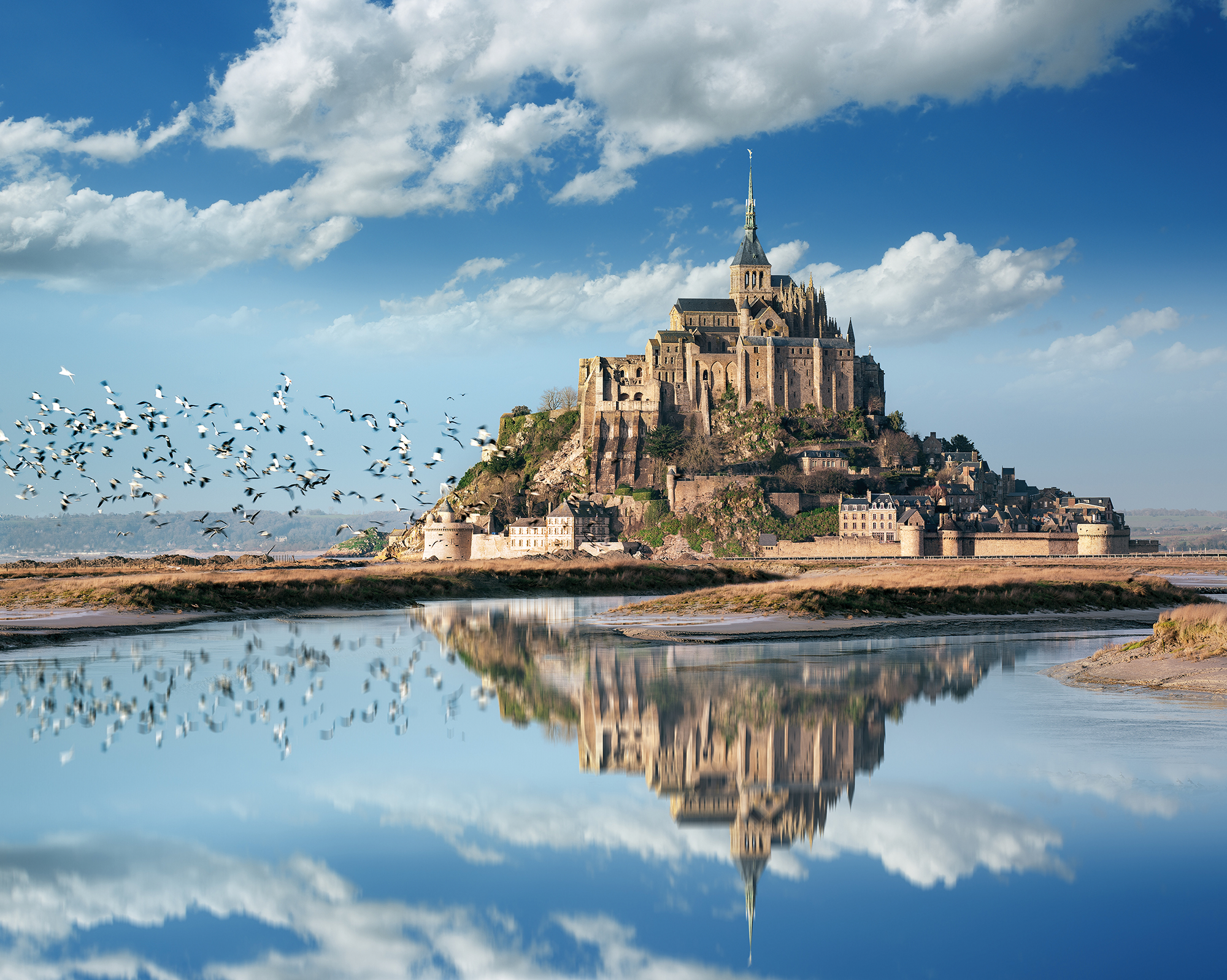 Lire la suite à propos de l’article 80EME ANNIVERSAIRE DU DEBARQUEMENT EN NORMANDIE